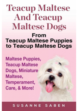 Teacup Maltese And Teacup Maltese Dogs