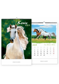 Kalendarz 2013 WP 133 Konie