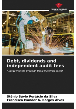 Debt, dividends and independent audit fees