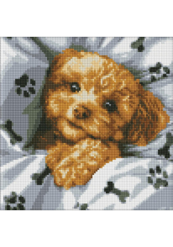 Diamentowa mozaika - Uroczy Maltipoo 40x40cm