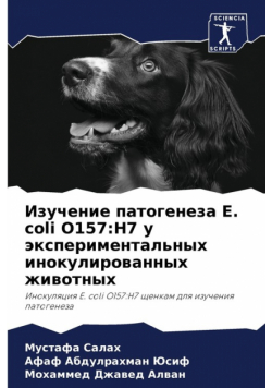 Изучение патогенеза E. coli O157