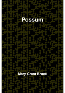 Possum