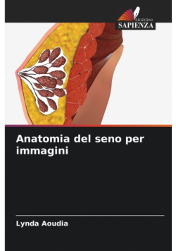 Anatomia del seno per immagini
