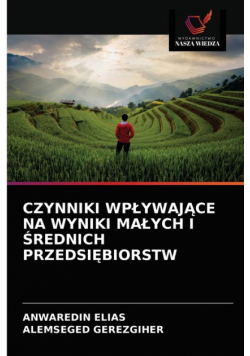 Czynniki Wpływające Na Wyniki Małych I Średnich Przedsiębiorstw