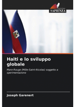 Haiti e lo sviluppo globale