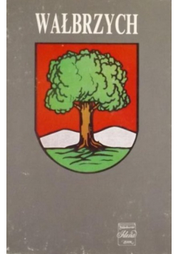 Wałbrzych. Zarys monografii miasta na tle regionu