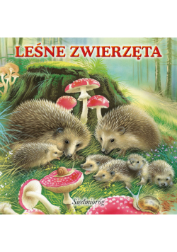 Leśne zwierzęta