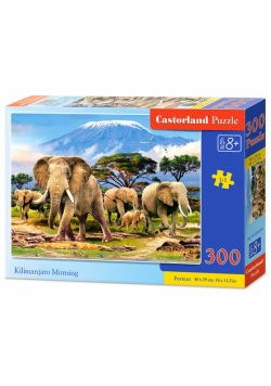 Puzzle Kilimanjaro Morning 300