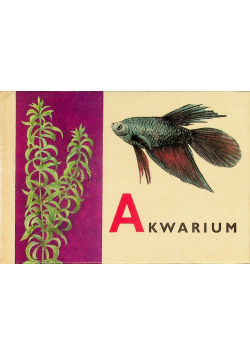 Akwarium