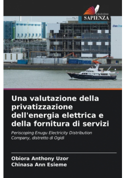 Una valutazione della privatizzazione dell'energia elettrica e della fornitura di servizi