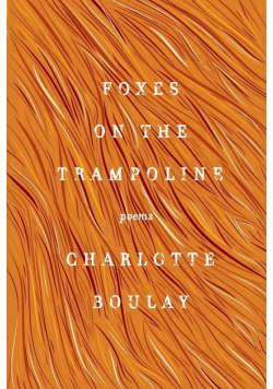 Foxes on the Trampoline