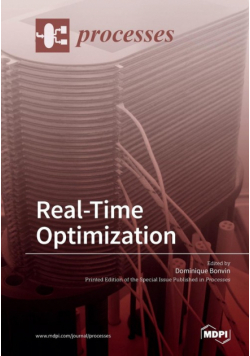 Real-Time Optimization