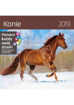 Kalendarz 2019 30x30 Konie HELMA