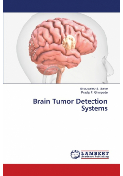 Brain Tumor Detection Systems