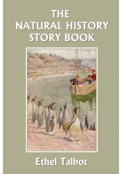 The Natural History Story Book (Yesterday's Classics)