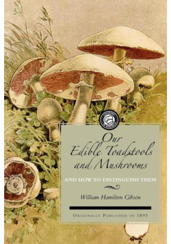 Our Edible Toadstools and Mushrooms