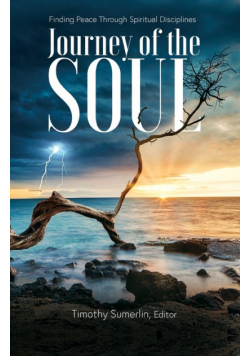 The Soul Journey
