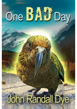 One Bad Day