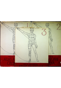 Atlas anatomii człowieka Tom I do III