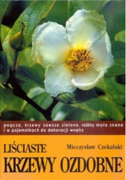 Liściaste krzewy ozdobne