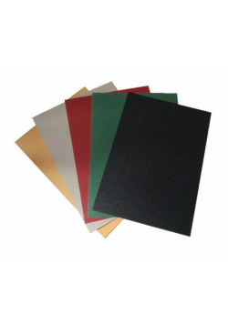 Karton Strarlight 200g 25x35cm 5 arkuszy MIX