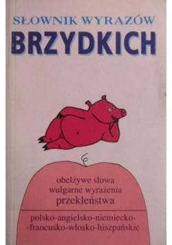 Słownik wyrazów brzydkich