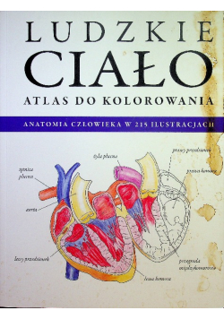 Atlas do kolorowania Ludzkie ciało