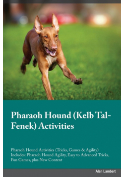 Pharaoh Hound Kelb Tal-Fenek Activities Pharaoh Hound Activities (Tricks, Games & Agility) Includes