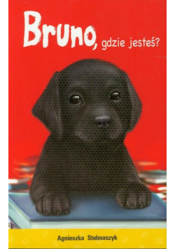 Bruno gdzie jesteś