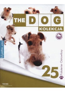 The Dog Foxterier ostrowłosy
