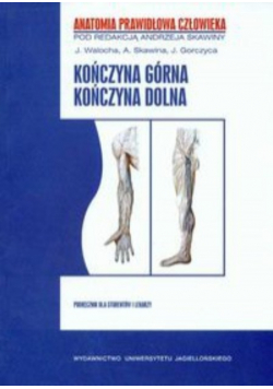 Kończyna górna Kończyna dolna