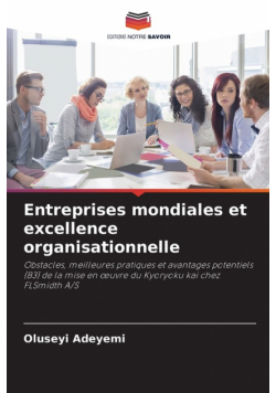 Entreprises mondiales et excellence organisationnelle