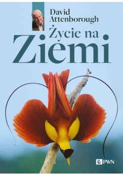 Życie na Ziemi