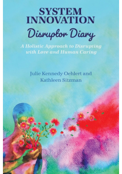 System Innovation Disruptor Diary