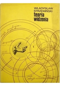 Teoria widzenia