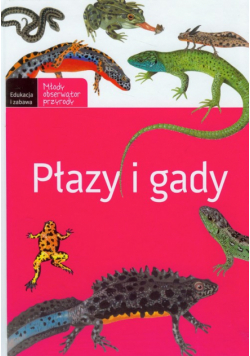 Płazy i gady