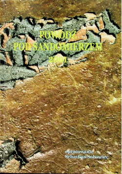 Powódź Pod Sandomierzem 2001