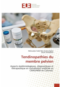 Tendinopathies du membre pelvien