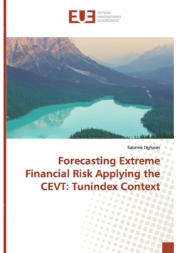 Forecasting Extreme Financial Risk Applying the CEVT