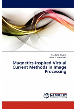 Magnetics-Inspired Virtual Current Methods in Image Processing