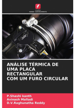 Análise Térmica De Uma Placa Rectangular Com Um Furo Circular