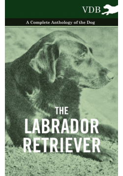 The Labrador Retriever - A Complete Anthology of the Dog