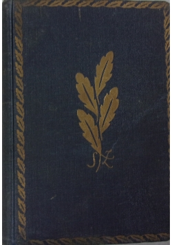 Popioły, Tom III, 1928 r.