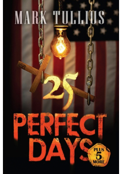 25 Perfect Days