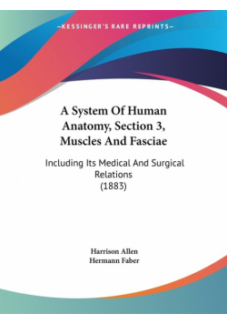 A System Of Human Anatomy, Section 3, Muscles And Fasciae