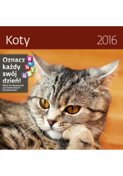 Kalendarz 2016 Koty Helma 30