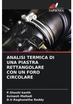 Analisi Termica Di Una Piastra Rettangolare Con Un Foro Circolare