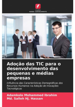 Adoção das TIC para o desenvolvimento das pequenas e médias empresas