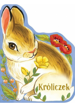 Kroliczek