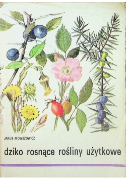 Dziko rosnące rośliny użytkowe